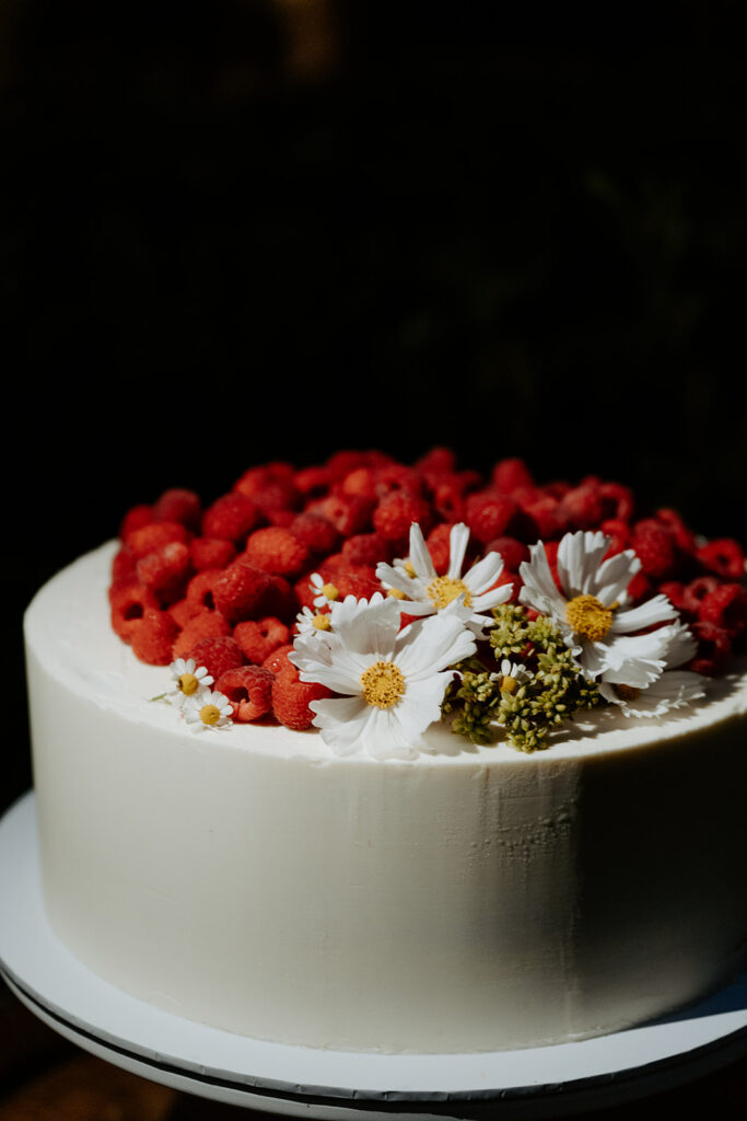 Wedding Linnaeus Farm Berry Southern Highlands Photographer